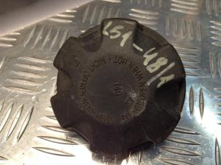 пробка расширительного бачка BMW X5 E70 2009, M57 D30 (306D3), АКПП, внедорожник 5 дв.