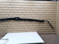 подушка безопасности боковая (шторка) Opel Astra H 2005, 1.8 л., Z 18 XE, бензин, МКПП, универсал, 24451354L - фото №6
