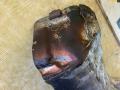 Теплозащитный щиток MAN TGA 1 поколение (2000 - 2008), D 2676 LF 22, 51081200412 - фото №2