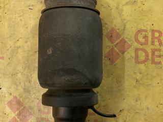 пневмоподушка подвески кабины MAN TGS 1 поколение 2009, 10.5 л., D 2066 LF 38, дизель, 81417226058, 20270, 2027001, 313184