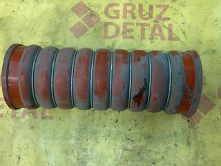 патрубок интеркулера MAN TGS 1 поколение 2009, 10.5 л., D 2066 LF 38, дизель, 81963010900
