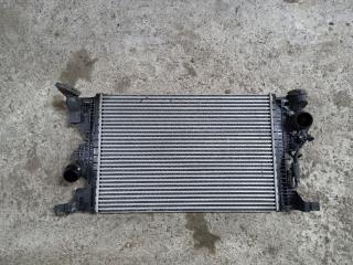 интеркулер Mercedes-Benz A-Класс W177/V177 2020, A2475006100