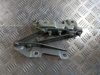 петля капота Opel Insignia 1 поколение (A) 2009, 12841601