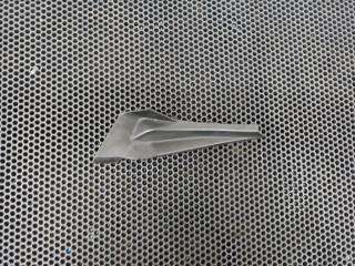 молдинг крыла Nissan X-Trail T30 2004, 66895JG000