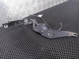 петля капота правая BMW X5 E70 [рестайлинг] 2013, 720862801