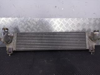 интеркулер Nissan Qashqai+2 J10 2009, 14461JD50B