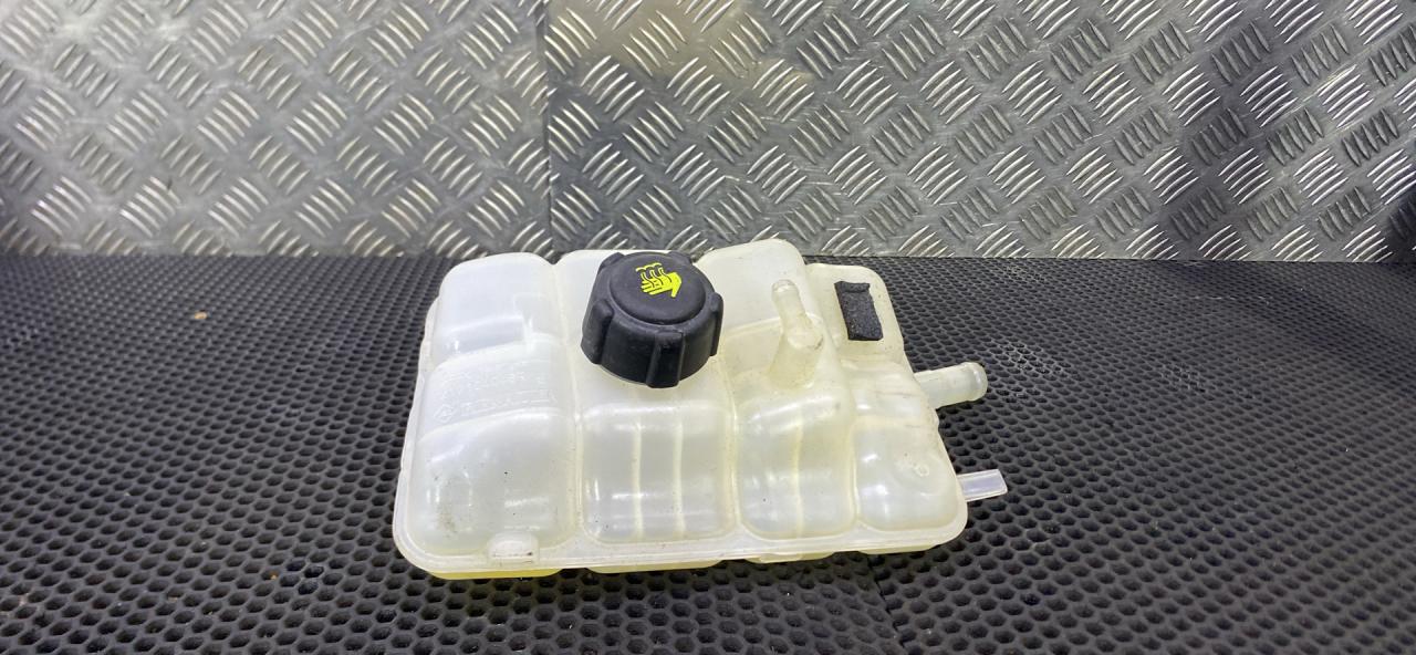 бачок расширительный Renault Talisman 1 поколение (2012 - 2026), 217104048R - фото №1