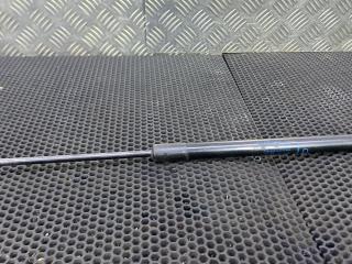 амортизатор крышки багажника (3-5 двери) Renault Scenic 4 поколение 2017, 904509745R