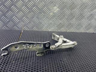 петля капота левая BMW X5 E53 [рестайлинг] 2003, 41618402173