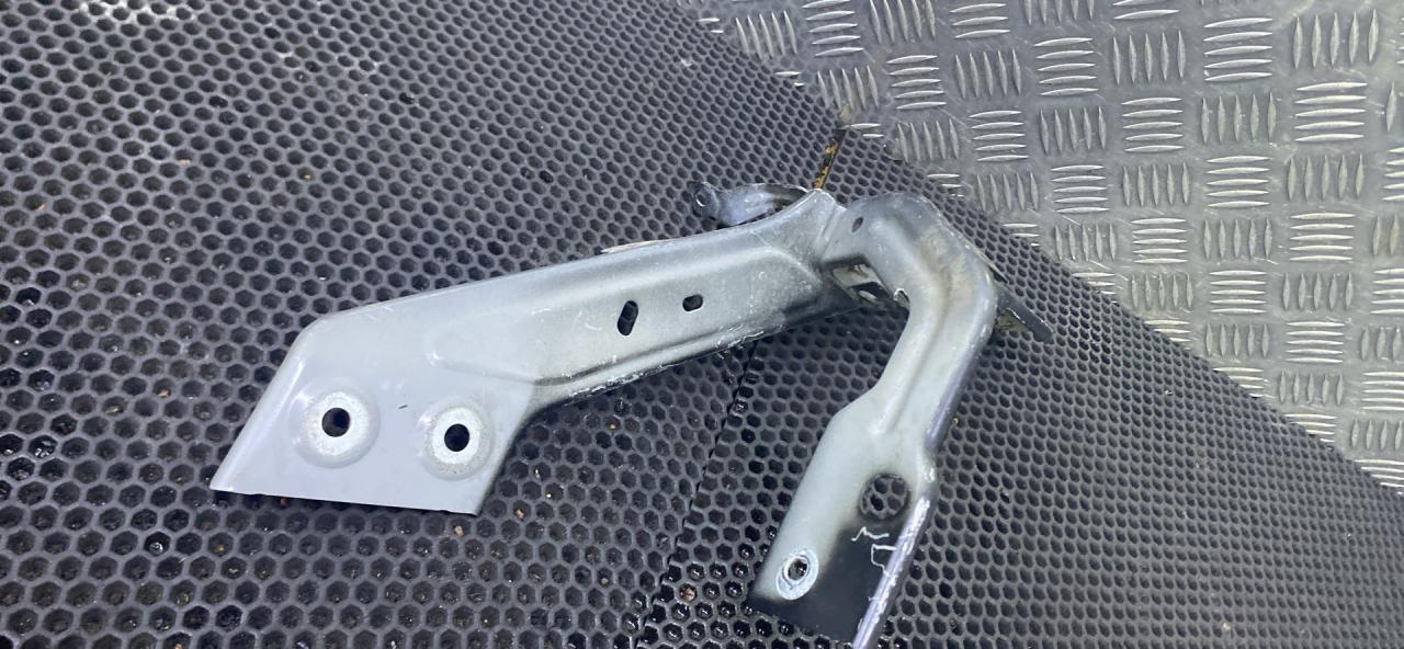 петля капота правая Renault Scenic 4 поколение (2016 - 2020), 654010894R - фото №1