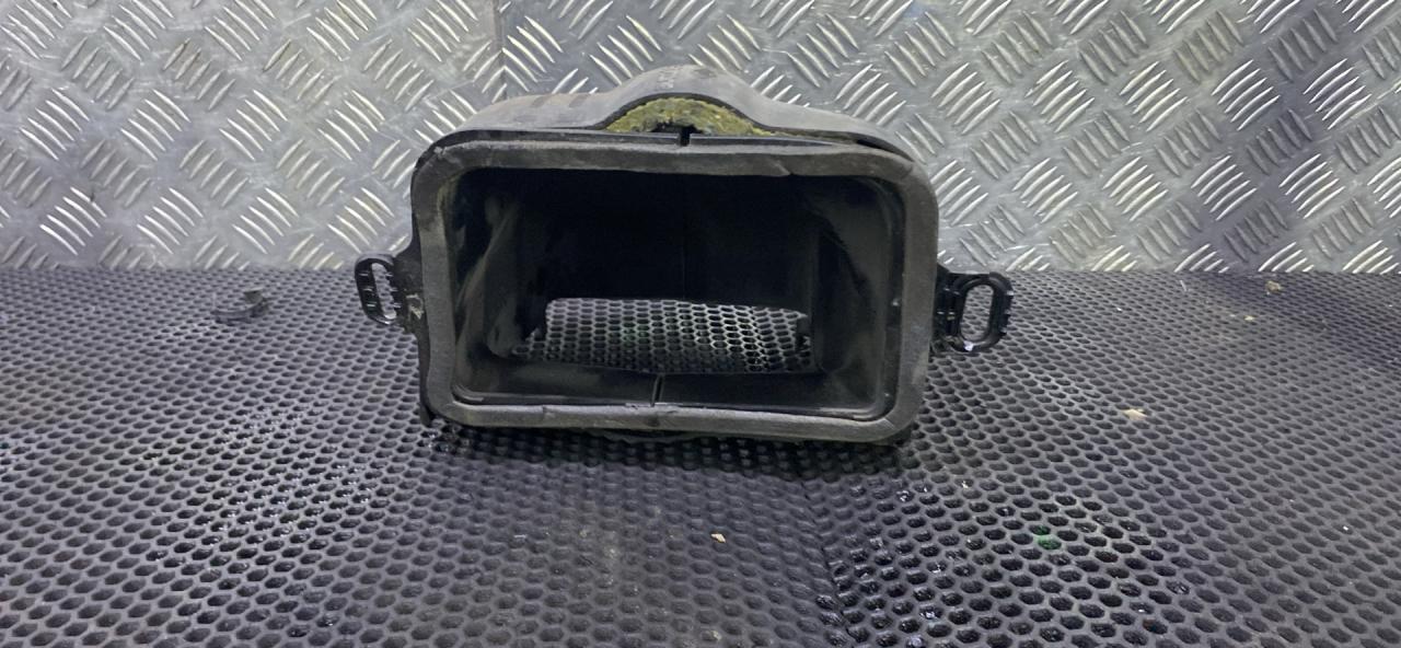 гофра инжектора Renault Trafic 3 поколение (2014 - 2026), 687796862R - фото №1