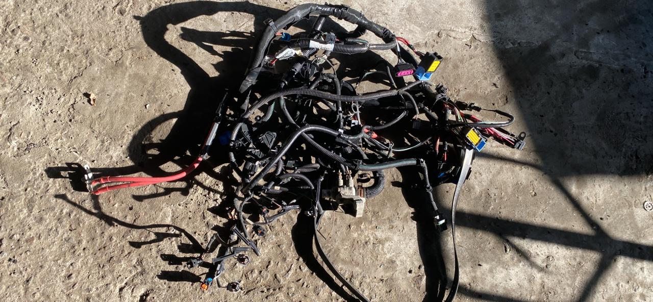 проводка двигателя Renault Trafic 3 поколение (2014 - 2026), 243514171R - фото №1