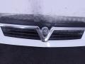 решетка радиатора Opel Movano A [рестайлинг] 2003, 8200233759 - фото №5