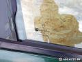 дверь передняя правая Peugeot 406 1 поколение 1998, 2.0 л., бензин, МКПП, универсал - фото №4