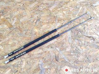 амортизатор крышки багажника (3-5 двери) BMW 7 серия E65/E66/E67 2004, 4.4 л., бензин, АКПП, седан, 121531160N, 7102021, 3102021