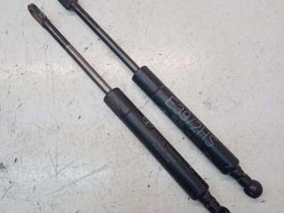 амортизатор стекла багажника BMW 5 серия E39 [рестайлинг] 2002, 3.0 л., дизель, АКПП, универсал, 51248190688, E392HS