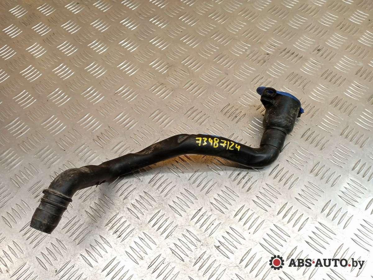 горловина бачка омывателя Volvo C70 2 поколение 2007, 30699202 - фото №1