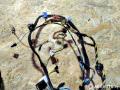 проводка Peugeot 307 1 поколение 2004, 2.0 л., МКПП, хетчбэк 5 дв., 9643506580 - фото №5