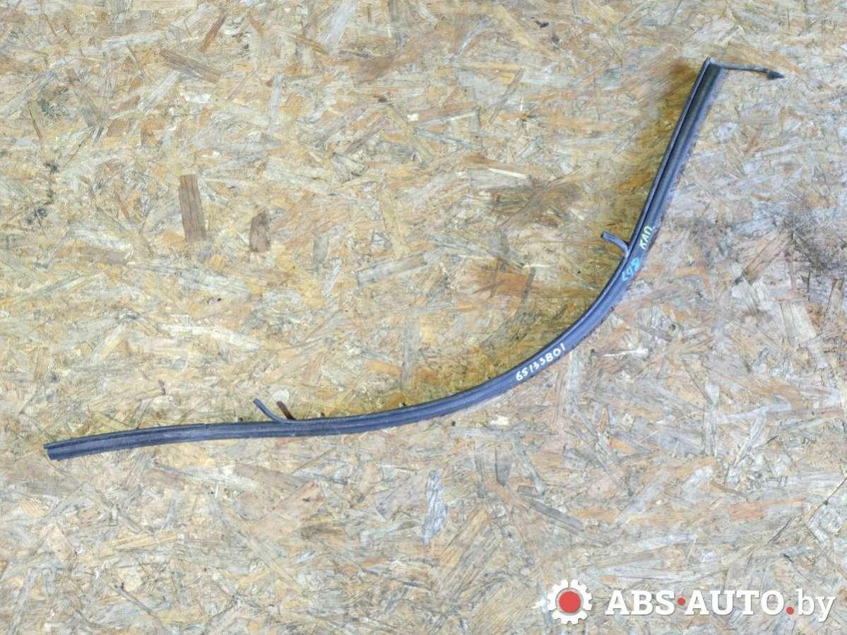 уплотнитель подкапотного пространства Citroen C5 1 поколение 2003, 2.0 л., дизель, МКПП, седан - фото №1