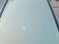 крыша Renault Scenic 1 поколение [рестайлинг] 2002, 1.9 л., дизель, МКПП, минивэн - фото №4
