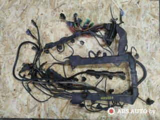 проводка двигателя BMW 7 серия E65/E66/E67 2004, 3.6 л., бензин, АКПП, седан, 12527510434, 12527510429