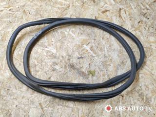 уплотнитель двери Peugeot 307 1 поколение 2003, K1211242, 9634451580, M549380