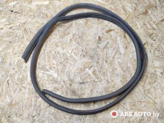 уплотнитель двери Renault Scenic 1 поколение [рестайлинг] 2001