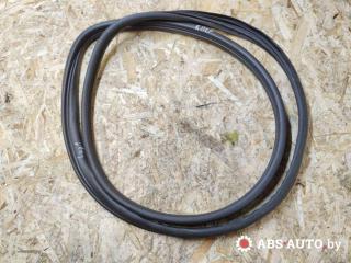 уплотнитель двери Renault Laguna 1 поколение [рестайлинг] 2001