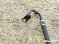 трубка кондиционера Citroen C5 1 поколение 2004, 9641427580S - фото №2