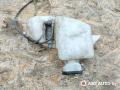 бачок омывателя Renault Kangoo 1 поколение 2003, 1.5 л., дизель, МКПП, 7700308814D, 7701706789OR, 7701706732, 8200179630, 8200179632 - фото №4