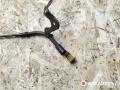 щуп двигателя Peugeot 308 T7 2010, 1.6 л., бензин, АКПП, хетчбэк 5 дв., 754636780, 7568567 - фото №2