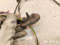 проводка датчиков парковки Peugeot 406 1 поколение [рестайлинг] 2002, 2.0 л., дизель, МКПП, седан, 2000927G, 9651723180 - фото №3