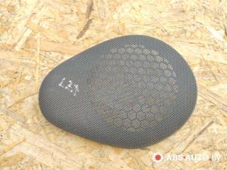 сетка на динамик Peugeot 406 1 поколение [рестайлинг] 2002, 2.0 л., дизель, МКПП, седан, 9616307277, 93195100