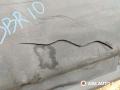 молдинг крыла заднего левого IVECO Daily 4 поколение 2008, 2.3 л., дизель, МКПП, фургон, 500326822, 500334456, 504099679, 504099687 - фото №5