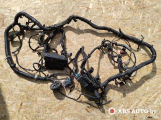 проводка двигателя Nissan Primera P12 2004, 2.2 л., дизель, МКПП, универсал, 24012AV010, 24382AV715, 71547003TA