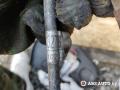 масляная трубка турбины Fiat Doblo 1 поколение [рестайлинг] 2005, 1.9 л., дизель, 46432726, 55210269, 60813934 - фото №5