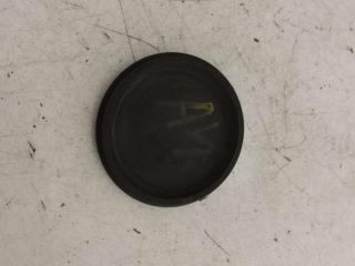 заглушка заднего бампера под крюк Volkswagen Passat B5 2001, 1.9 л., TDi, дизель, МКПП, 38105278