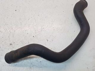 патрубок радиатора Volkswagen Golf 5 поколение 2008, 2.0 л., TDi, дизель, МКПП, минивэн, 1K0122101EL