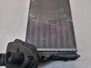 радиатор отопителя (печки) Citroen Berlingo 1 поколение (M49) 2002, 1.6 л., дизель, 9624539480, 256904G1