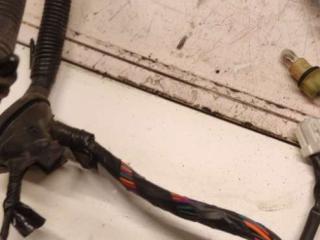 дверная проводка Nissan Primera P12 2005, 1.9 л., дизель, МКПП, черный, универсал, 24126AV001