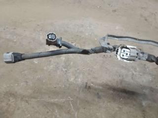 проводка Lexus IS 2 поколение (XE20) 2007, 2.2 л., дизель, МКПП, 82113-53010F-3