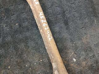 рычаг задний Lexus IS 2 поколение (XE20) 2007, 2.2 л., дизель, МКПП