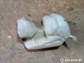 бачок омывателя Citroen Berlingo 1 поколение (M59) [рестайлинг] 2005, 9647190180, 9647190280 - фото №3
