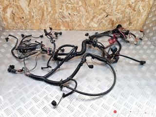 проводка двигателя Renault Scenic 2 поколение 2005, 1.9 л., дизель, МКПП, минивэн