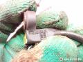 датчик ABS Citroen C5 1 поколение 2003, 2.0 л., дизель, МКПП, седан, 9641309380, 10071151013 - фото №3