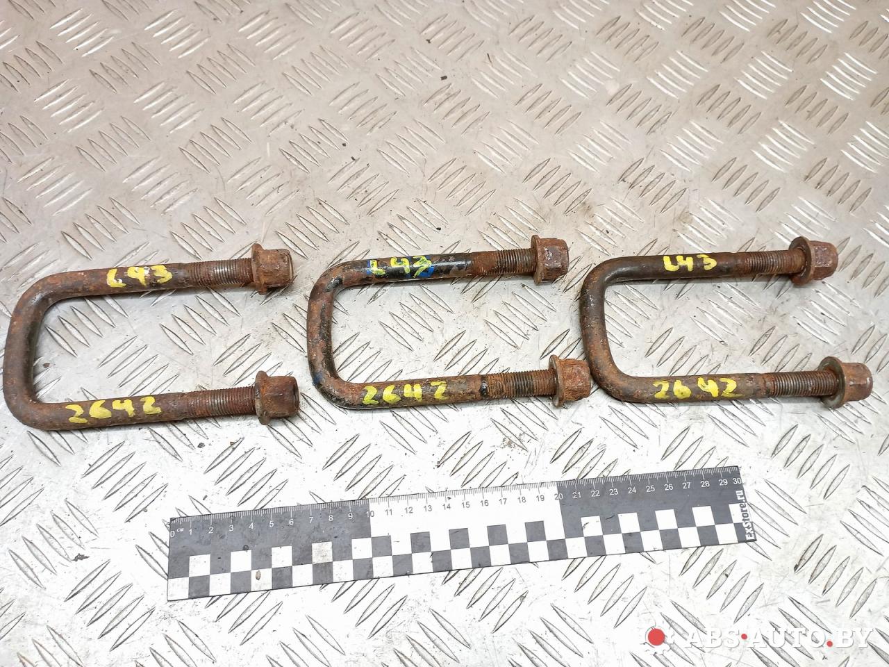 стремянка Renault Mascott 1 поколение 2004, 2.8 л., МКПП, микроавтобус - фото №1