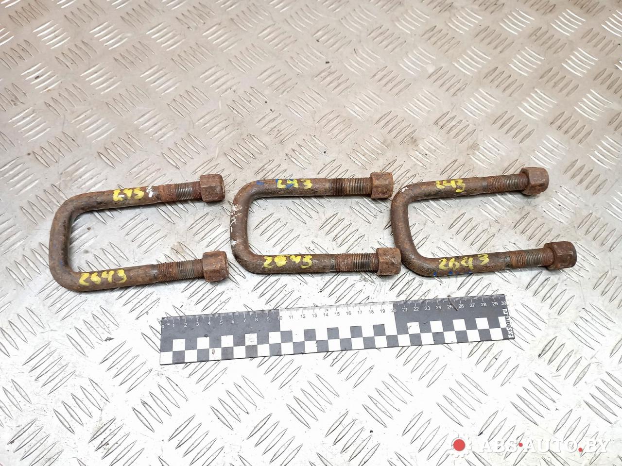 стремянка Renault Mascott 1 поколение 2004, 2.8 л., МКПП, микроавтобус - фото №1