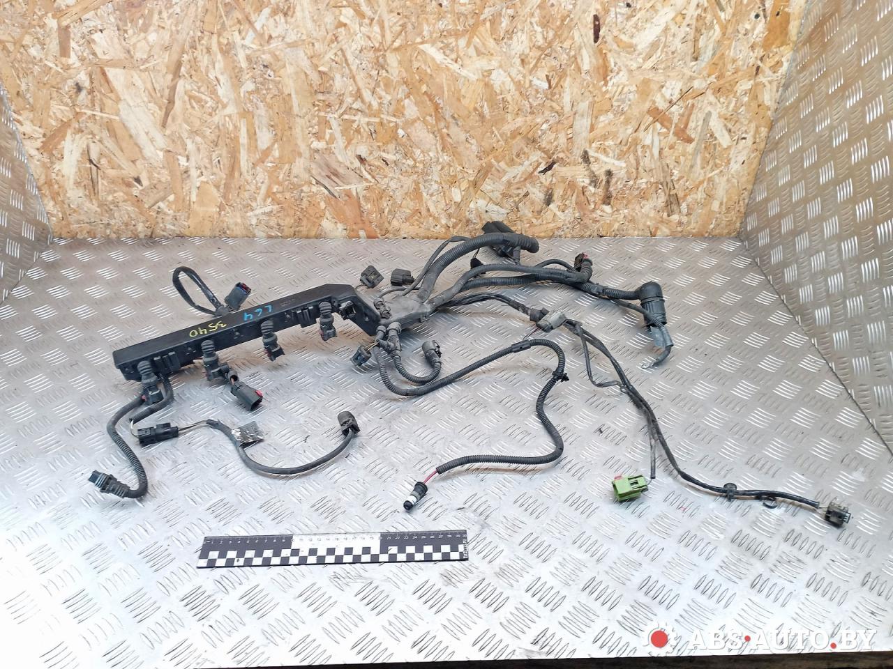 проводка двигателя Mini Cooper 1 поколение 2003, 1.6 л., W10 B16 A, бензин, МКПП, 7510921, 7520934, 7510301 - фото №1