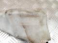 бачок омывателя BMW 5 серия E39 1999, 3.0 л., M57 D30 (306D1), дизель, АКПП, 61668361443, 8361443 - фото №5