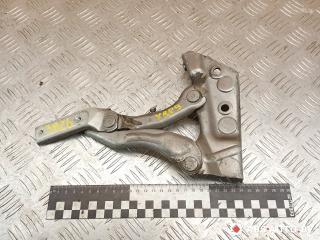 петля капота правая Mercedes-Benz B-Класс W245 2008, 2.0 л., OM 640.941, дизель, АКПП, A1698800428